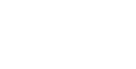 Next Level Detailing